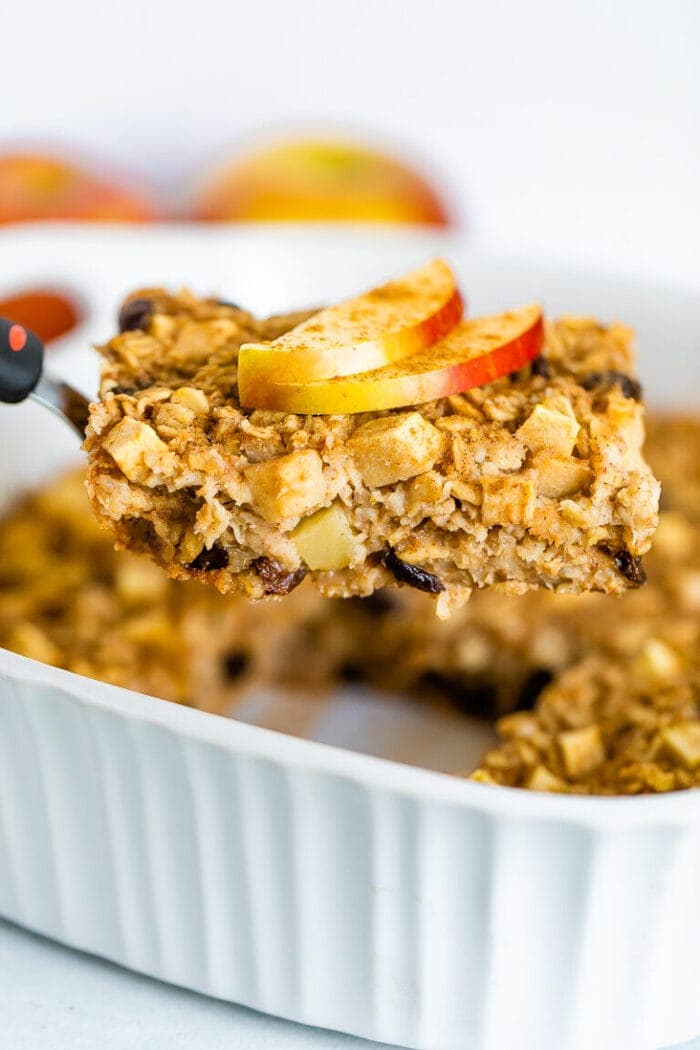 Chai Baked Oatmeal Eating Bird Food