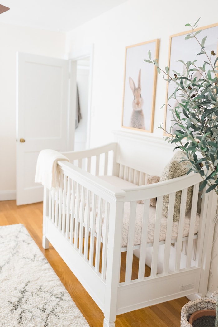 Bunny stuffed animal in crib + bunny print over crib.