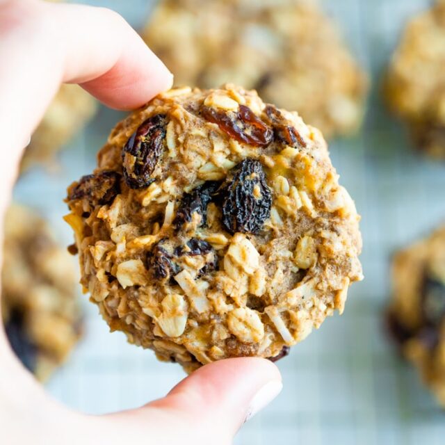 The Best Healthy Oatmeal Cookies Eating Bird Food