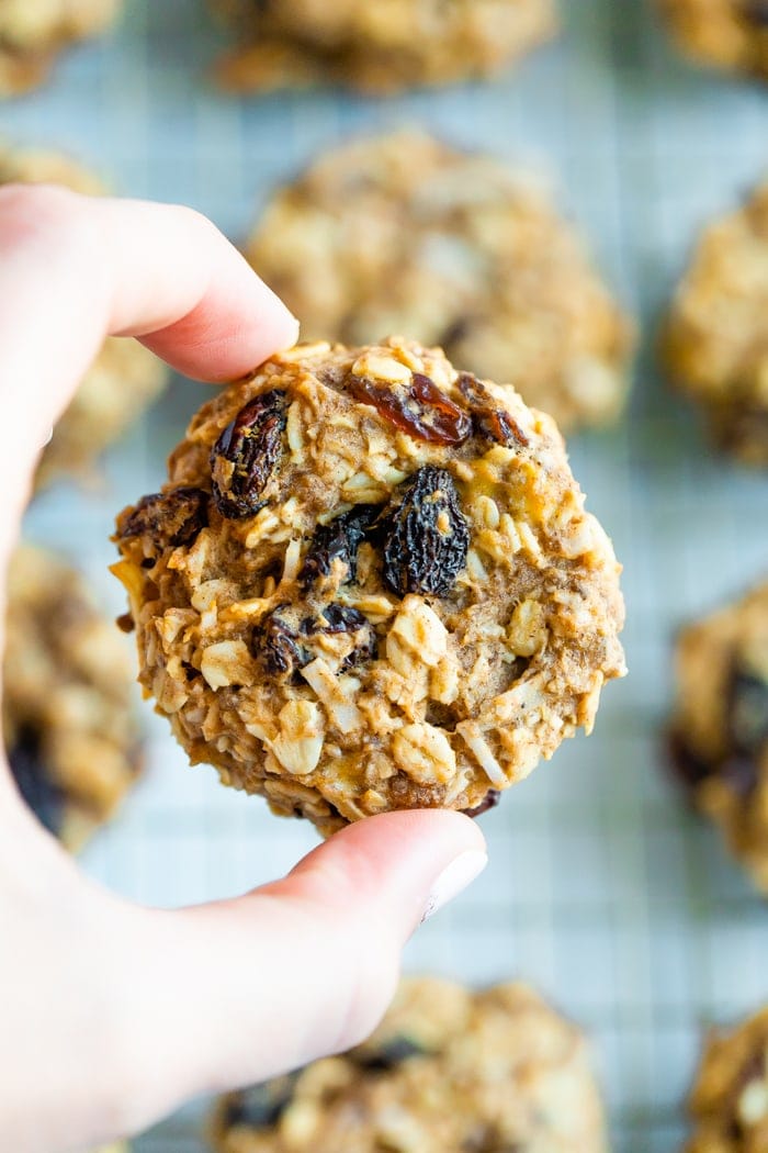 A hand holding an oatmeal raisin protein cookie studded with coconut.