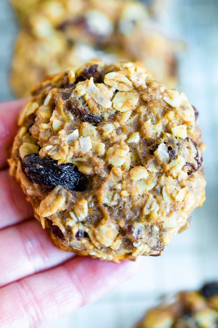 Hand holding an oatmeal raisin protein cookie.
