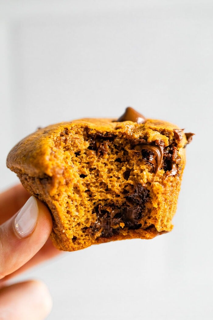 Paleo Pumpkin Muffins {Flourless} Eating Bird Food