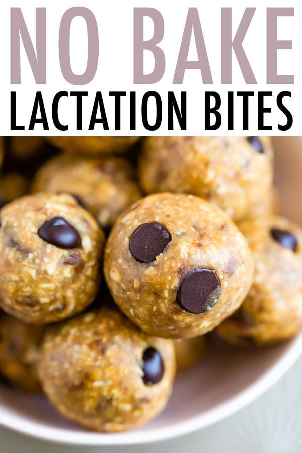 No Bake Lactation Bites Eating Bird Food