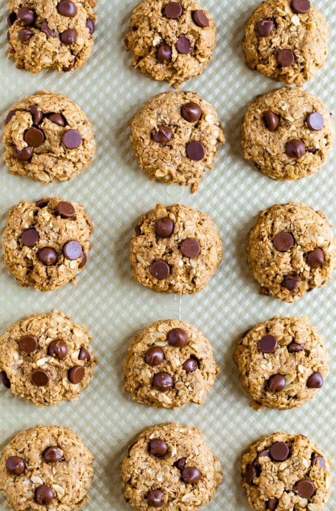 Lactation Cookies {to Boost Milk Supply} Eating Bird Food