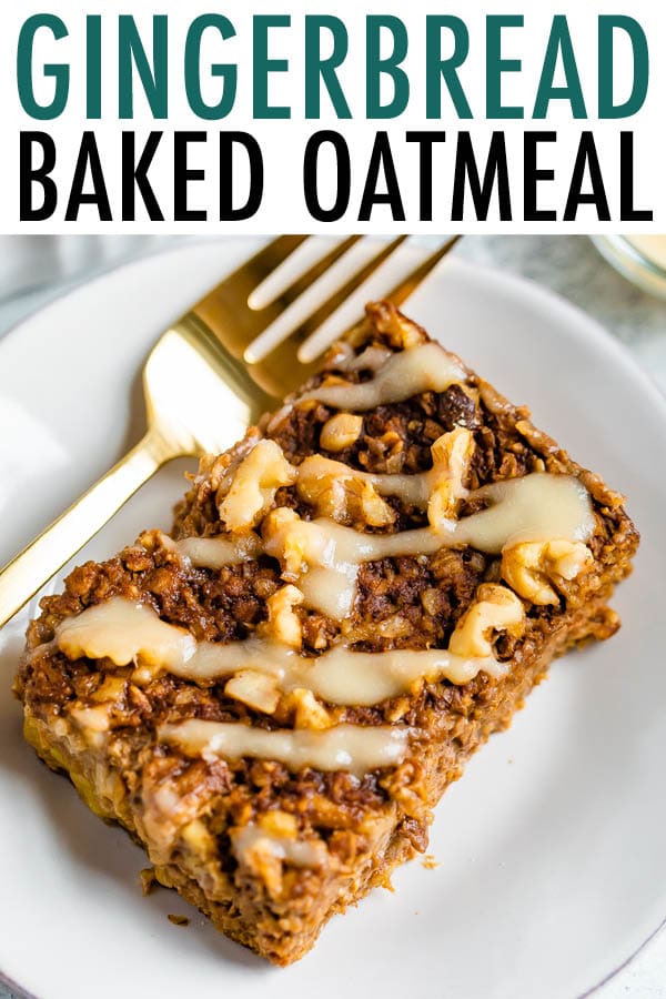 Cozy Gingerbread Baked Oatmeal Eating Bird Food