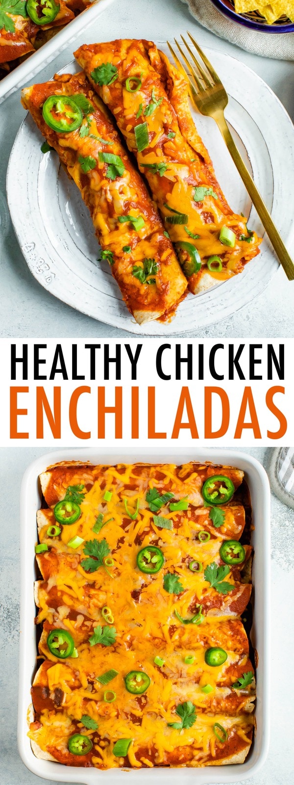 Healthy Chicken Enchiladas Eating Bird Food