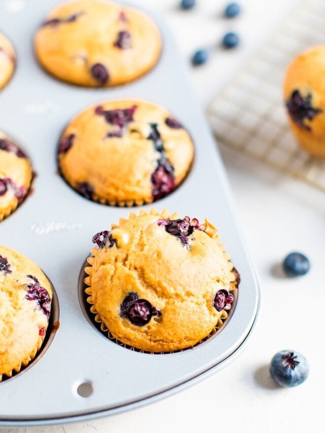 Vegan Blueberry Muffins Eating Bird Food