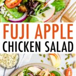 Fuji apple chicken salad with gorgonzola cheese, pepitas, tomatoes and dressing.