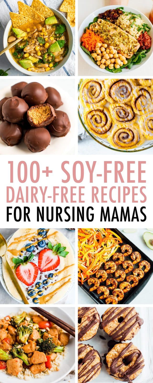 100+ SoyFree DairyFree Recipes for Nursing Mamas Eating Bird Food