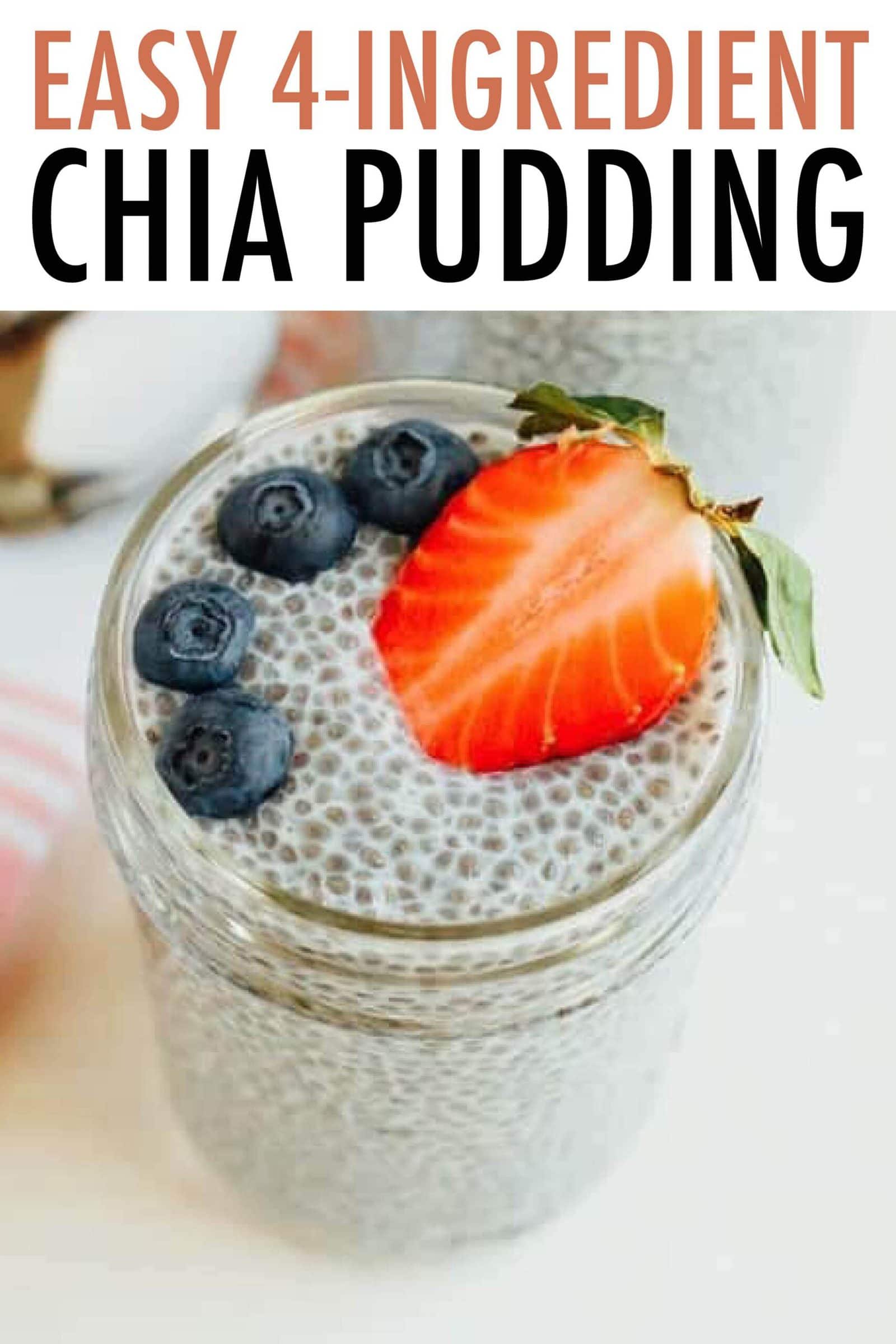 Easy Chia Pudding (Only 4 Ingredients) Eating Bird Food