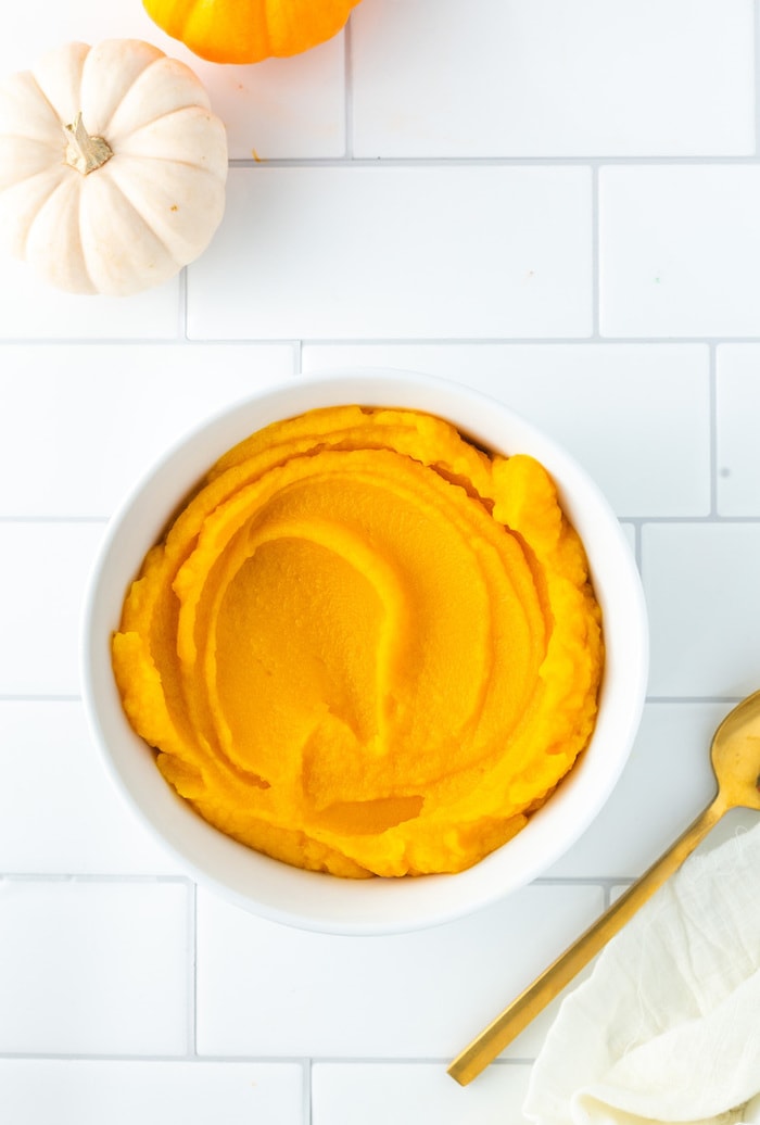 How To Make Pumpkin Puree Eating Bird Food how-to-make-pumpkin-puree-eating-bird-food