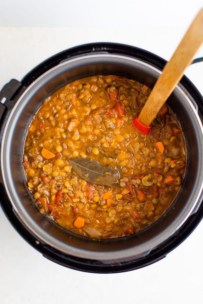 Vegan Lentil Soup {Stove Top or Instant Pot} Eating Bird Food