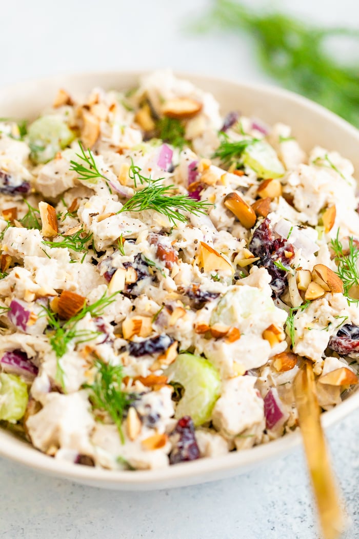 Bowl of creamy turkey salad with celery, cranberries and almonds.