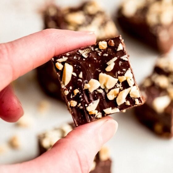 Healthy Chocolate Peanut Butter Fudge {LowSugar} Eating Bird Food