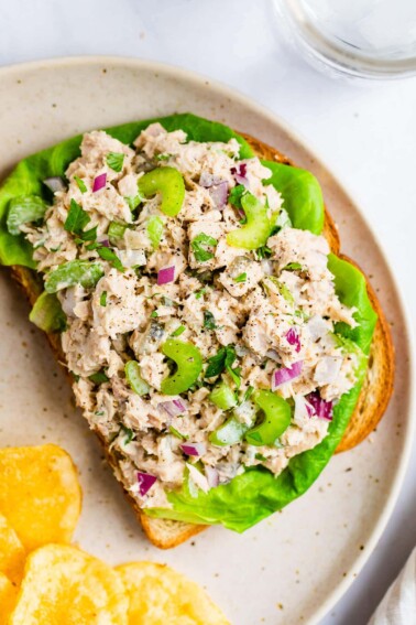 Tuna salad on an open face sandwich with lettuce.