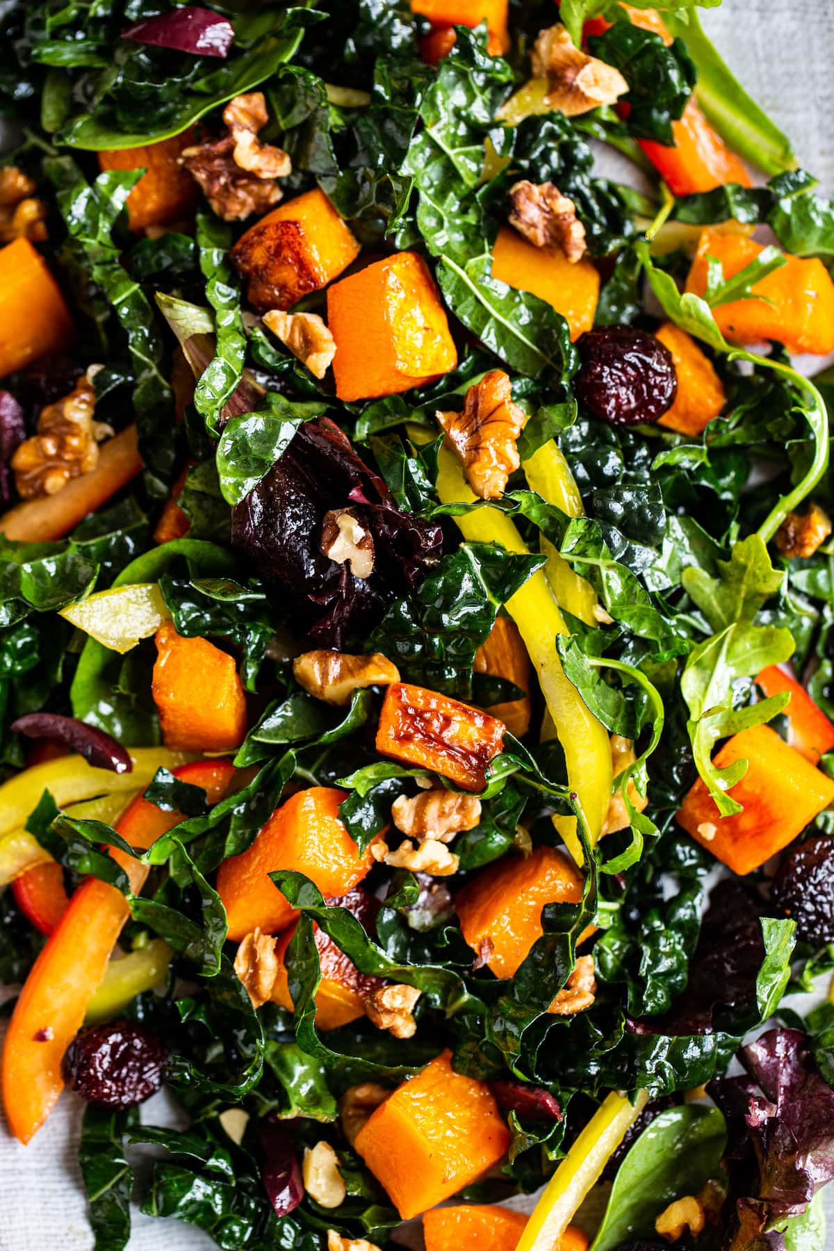 Close up photo of salad with kale, butternut squash, pepper, cranberries and walnuts.