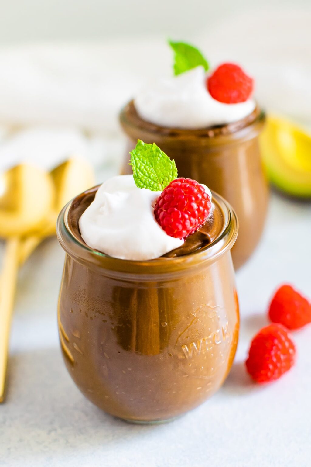 Easy Avocado Chocolate Pudding Eating Bird Food