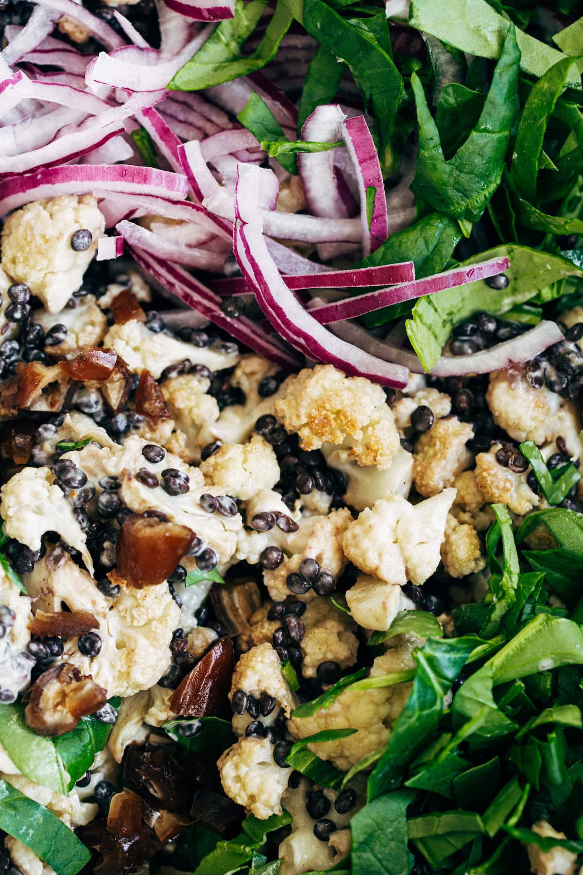 Close up of a salad made with spinach, onions, dates, cauliflower and lentils.