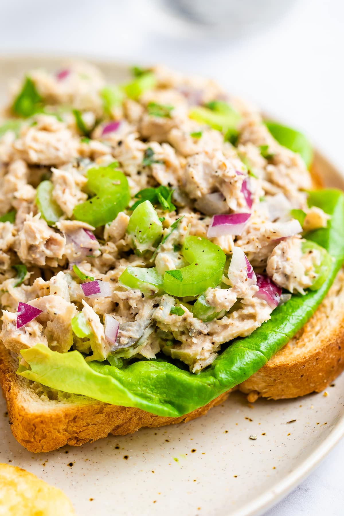 Tuna salad on an open face sandwich with lettuce.