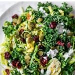 Plate of kale salad with brussels, pepitas, cranberries and poppyseed dressing.