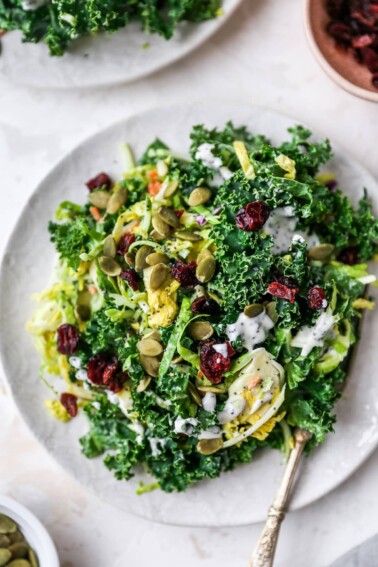 Plate and fork with sweet kale salad topped with poppyseed dressing, cranberries and pepitas.