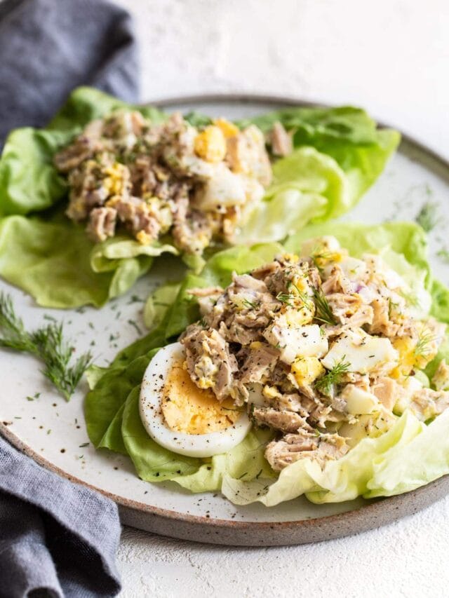 Tuna Egg Salad Eating Bird Food