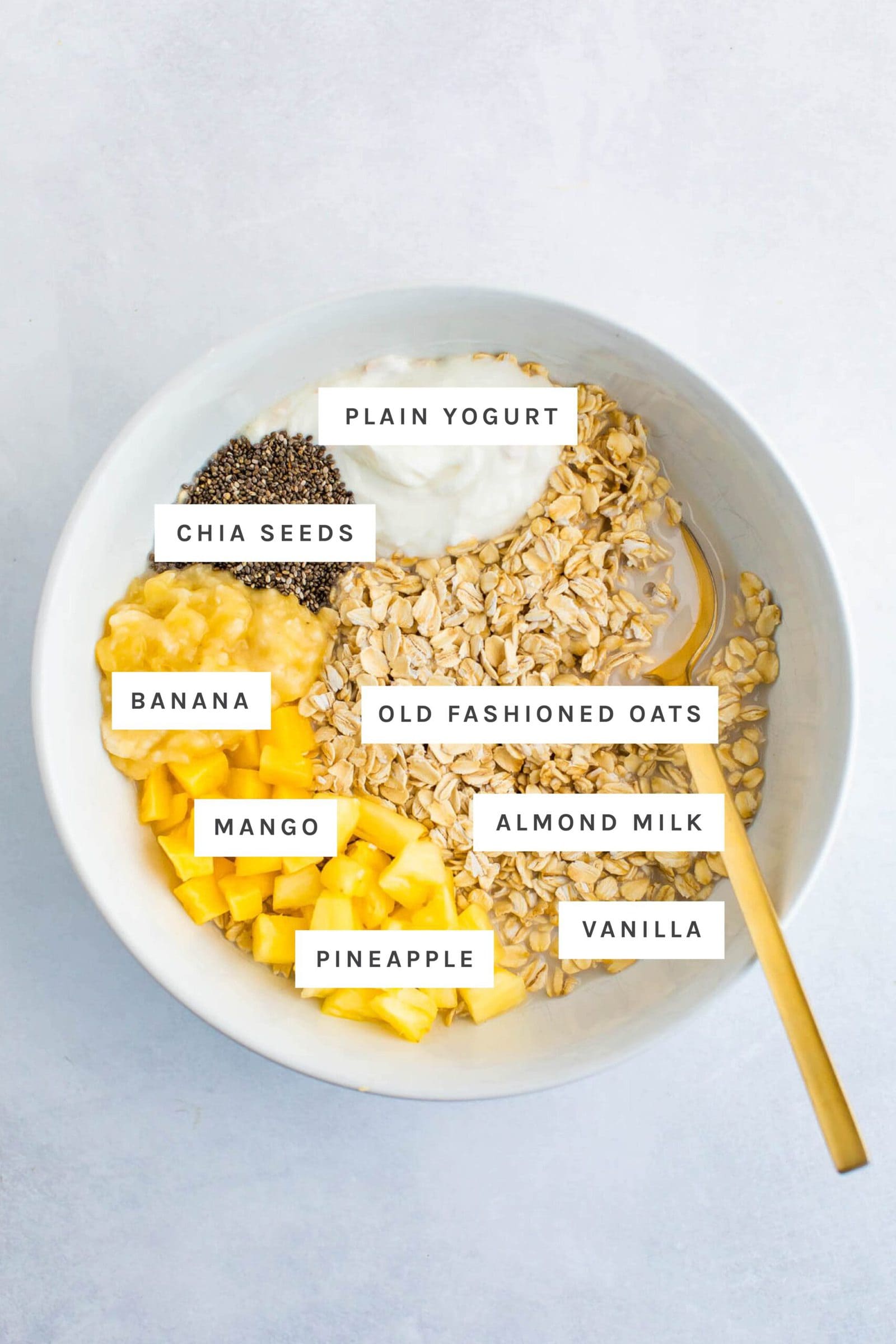 Bowl of ingredients to make tropical overnight oats and labels: yogurt, chia seeds, banana, mango, pineapple, vanilla, almond milk and oats.