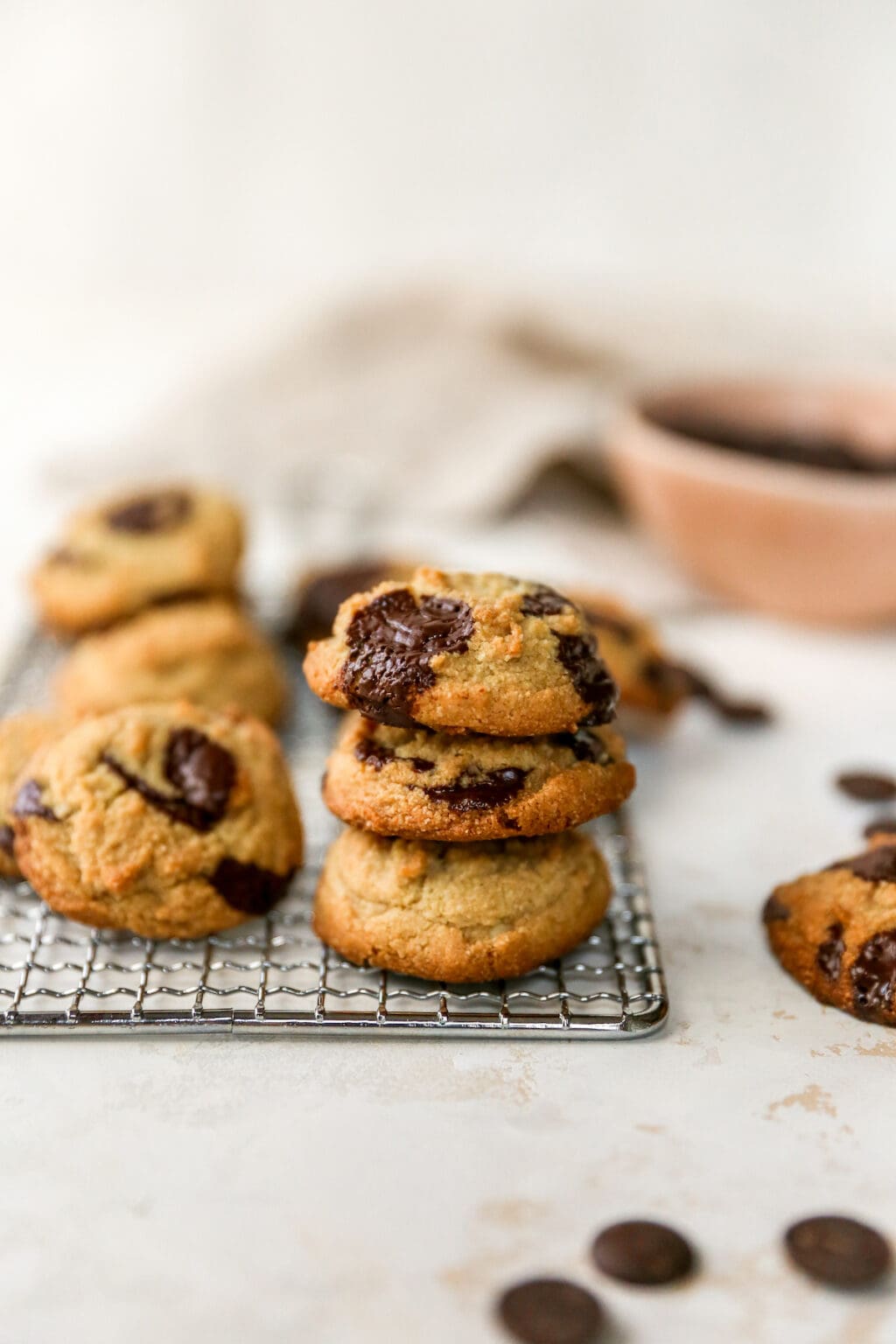 Almond Flour Cookies with Chocolate Chips Eating Bird Food