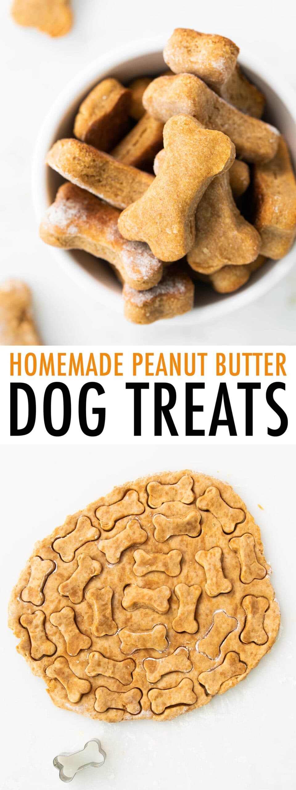 Homemade Peanut Butter Dog Treats Eating Bird Food