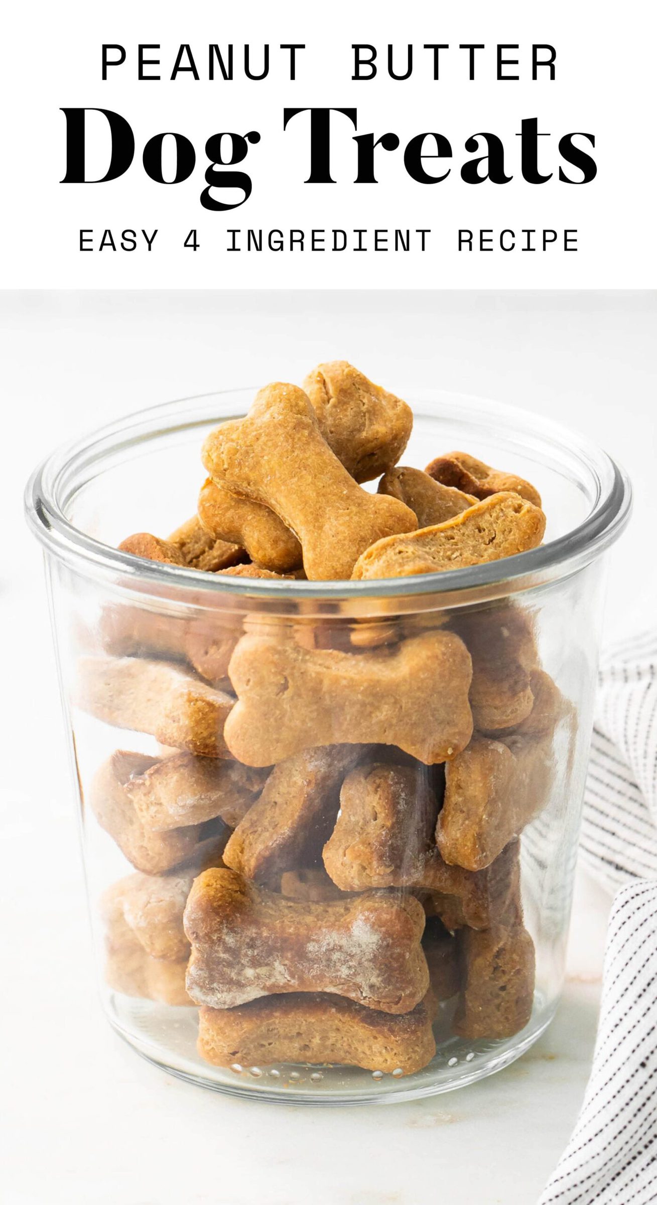 Homemade Peanut Butter Dog Treats Eating Bird Food