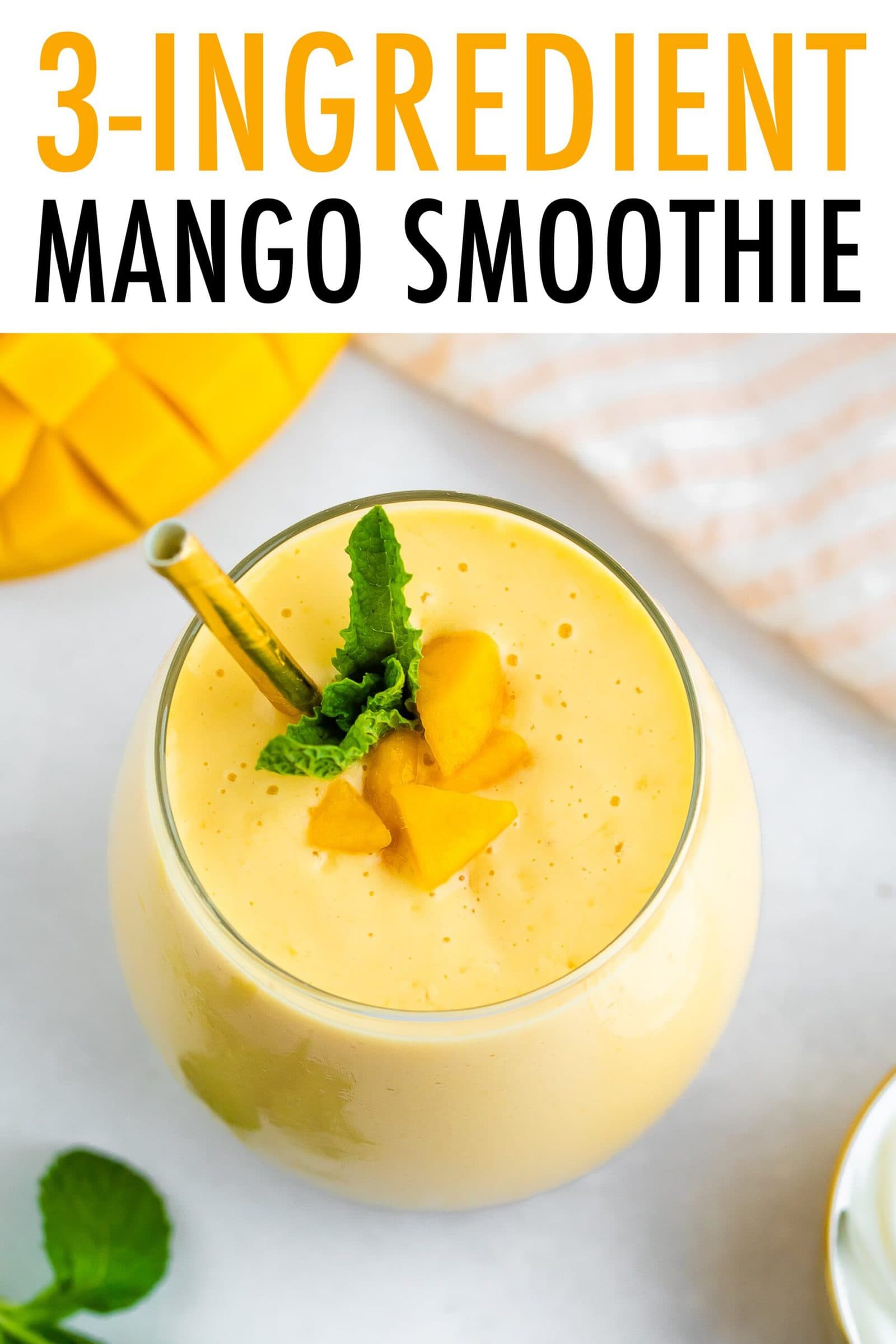 3Ingredient Mango Smoothie {Super Easy} Eating Bird Food