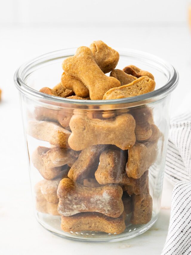 Peanut Butter Dog Treats Eating Bird Food