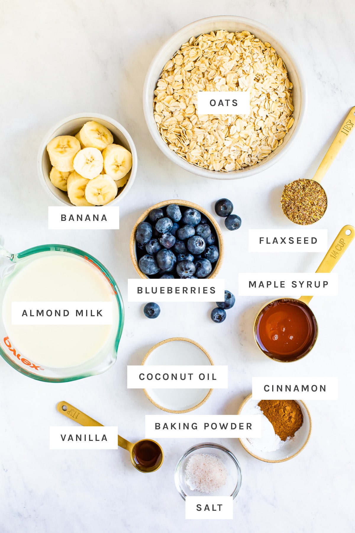 {Easy} Blueberry Baked Oatmeal Eating Bird Food