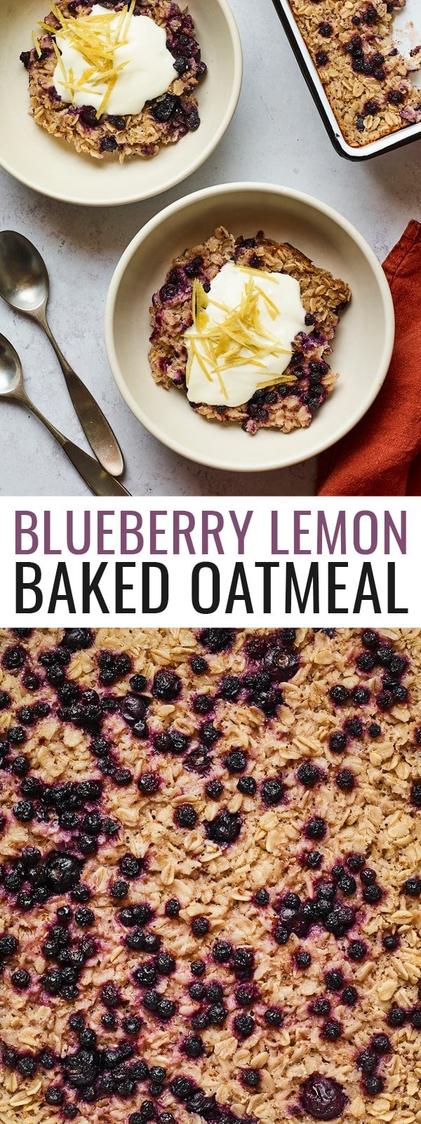 Blueberry Lemon Baked Oatmeal Eating Bird Food