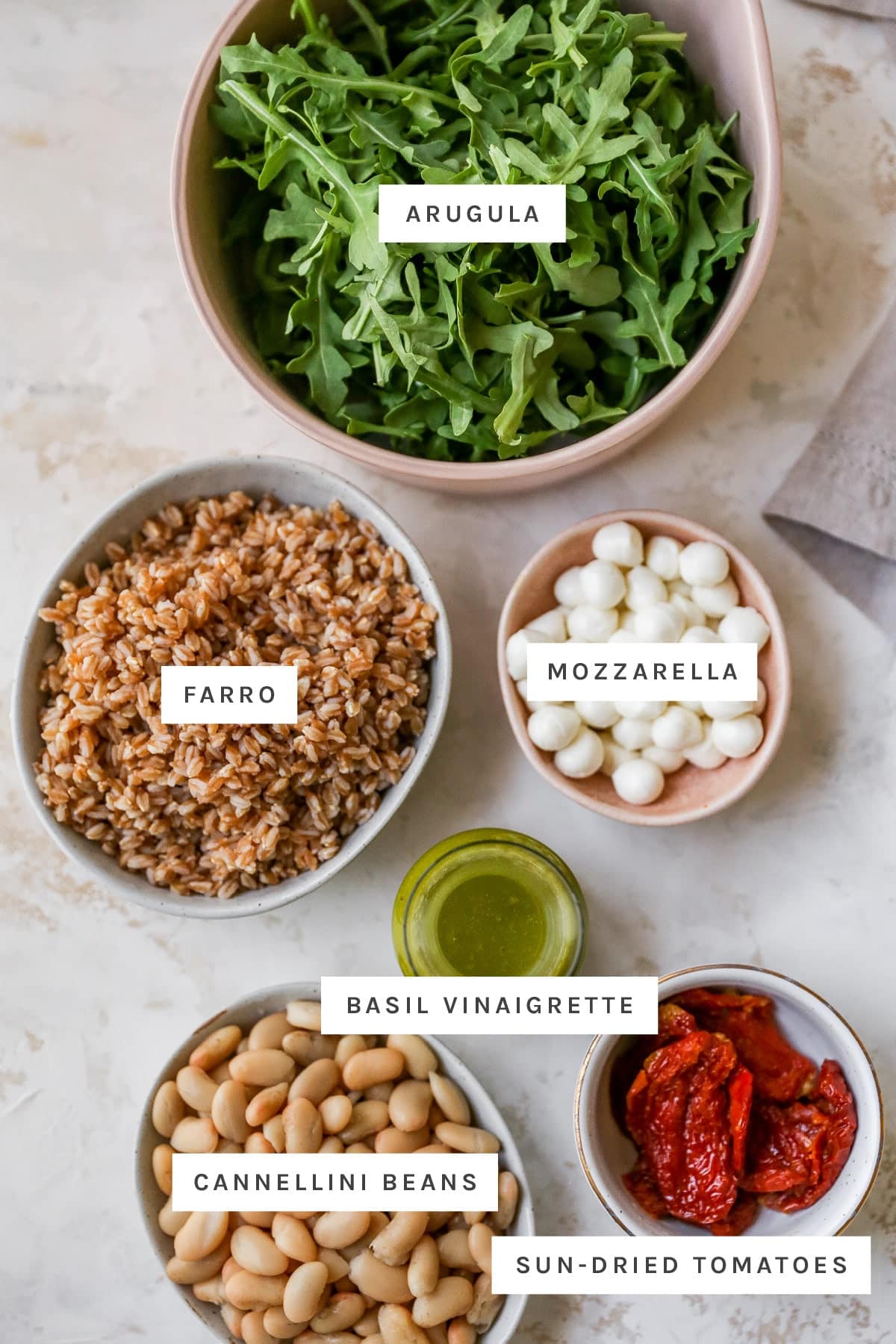 Arugula, farro, mozzarella, basil vinaigrette, sun-dried tomatoes and cannellini beans measured out into bows and jars.