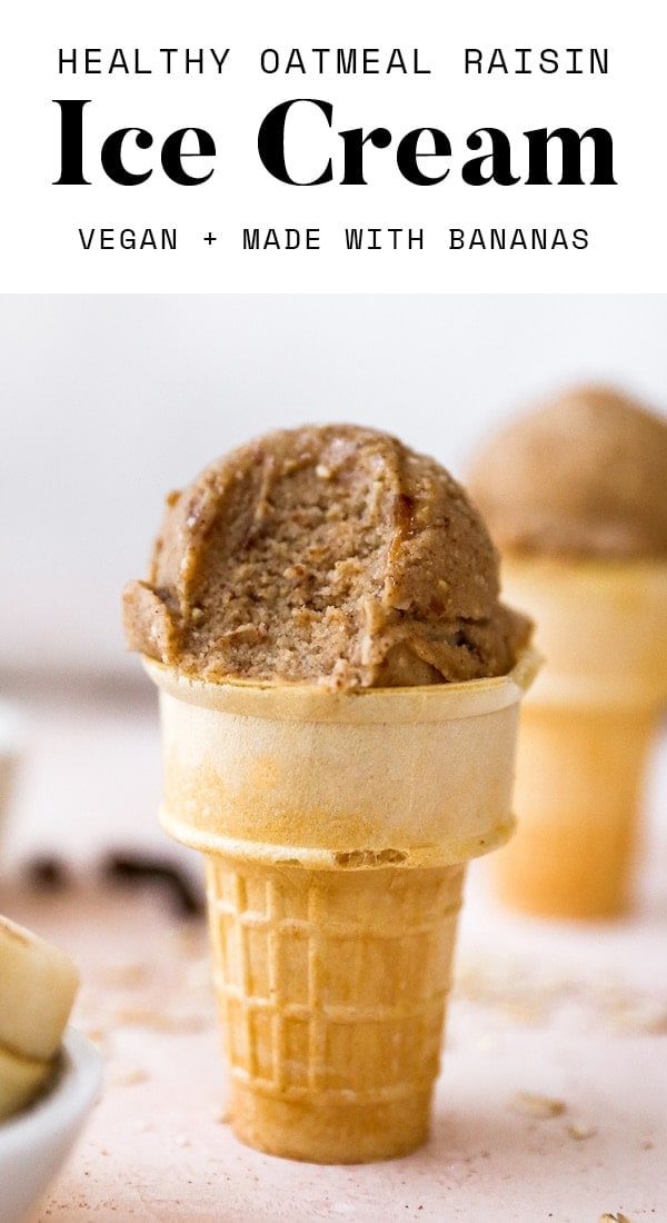 Healthy Oatmeal Raisin Ice Cream - Eating Bird Food