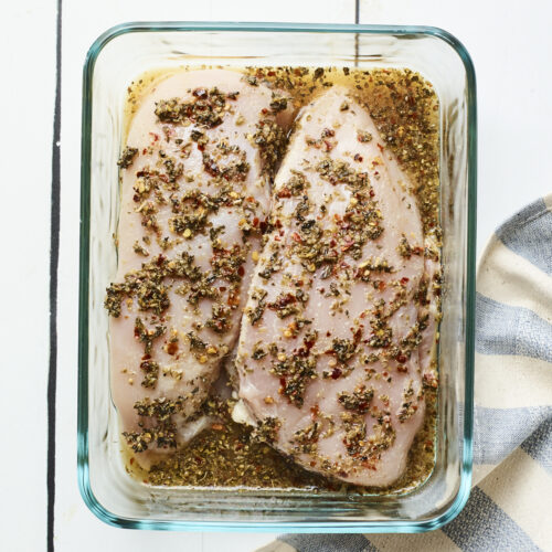 Apple Cider Vinegar Chicken Eating Bird Food