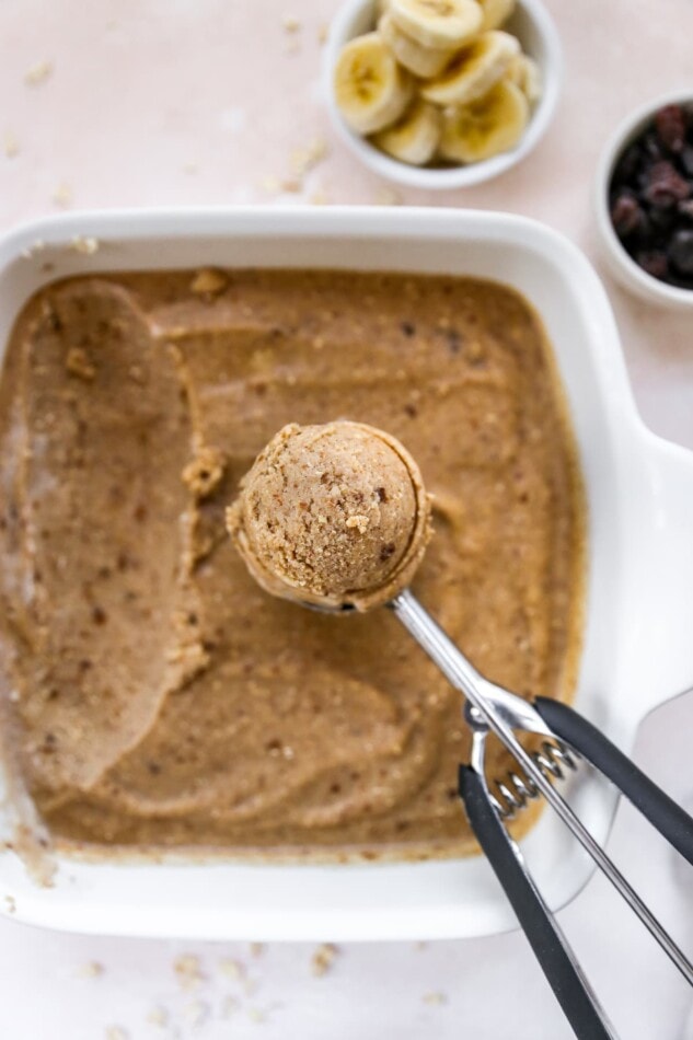 Ice cream scooper with a scoop of oatmeal raisin ice cream.