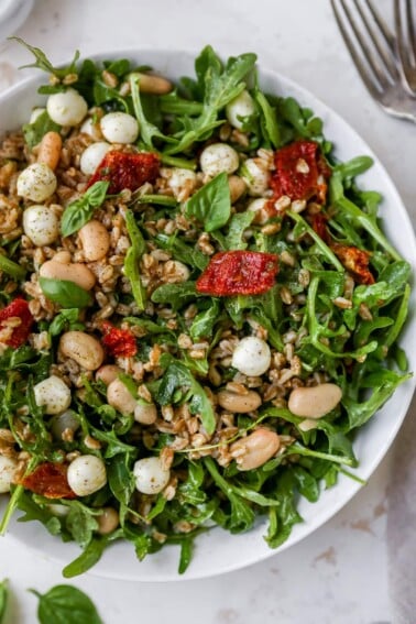 Farro salad with arugula, beans, tomatoes and mozzarella in a serving bowl.