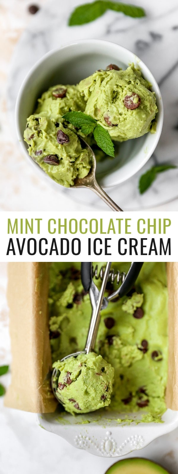 Avocado Ice Cream {Mint Chocolate Chip} Eating Bird Food