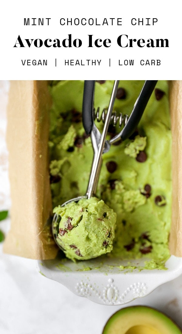 Avocado Ice Cream {Mint Chocolate Chip} Eating Bird Food