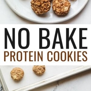 No Bake Protein Cookies - Eating Bird Food