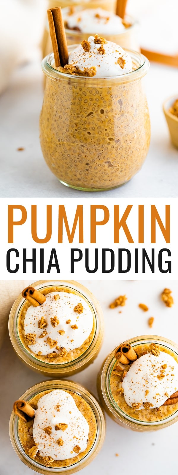 Pumpkin Chia Pudding Eating Bird Food