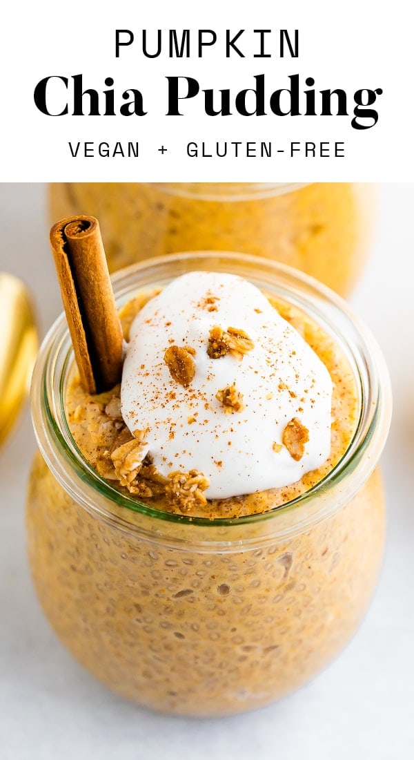 Pumpkin Chia Pudding Eating Bird Food