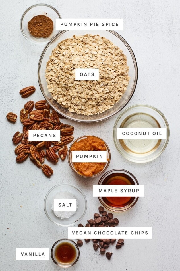 Ingredients measured out to make pumpkin granola: pumpkin pie spice, oats, pecans, coconut oil, pumpkin, maple syrup, salt, vegan chocolate chips and vanilla.