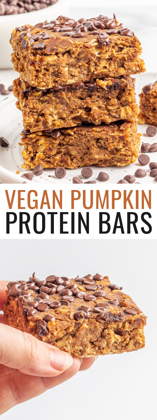 Healthy Pumpkin Protein Bars Eating Bird Food