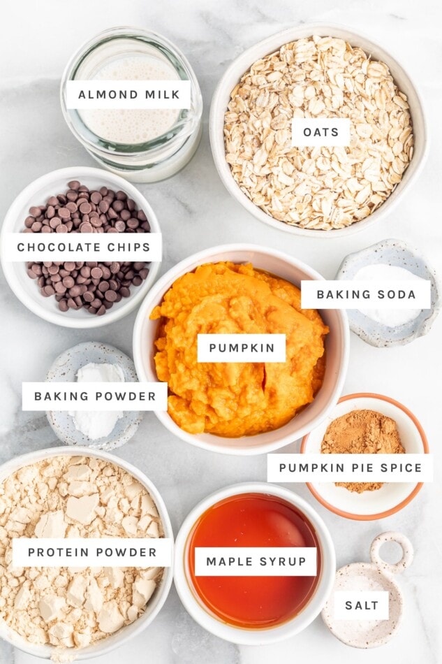 Ingredients measured out to make pumpkin protein bars: almond milk, oats, chocolate chips, pumpkin, baking soda, baking powder, pumpkin pie spice, protein powder, maple syrup and salt.