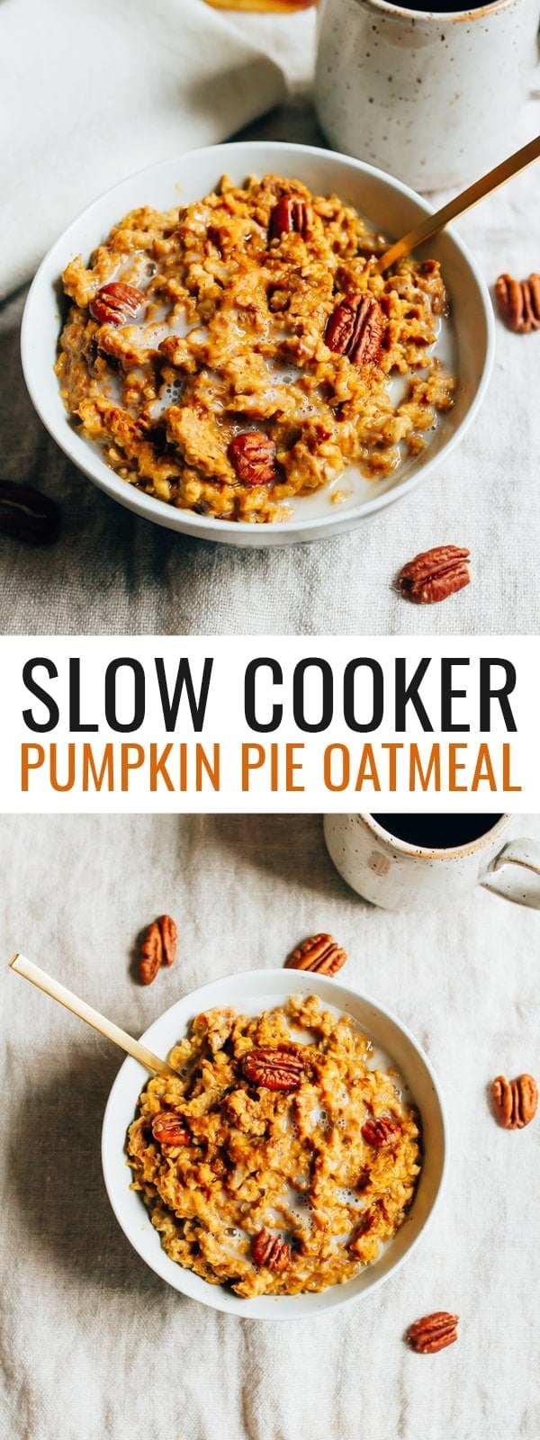 Slow Cooker Pumpkin Pie Oatmeal Eating Bird Food