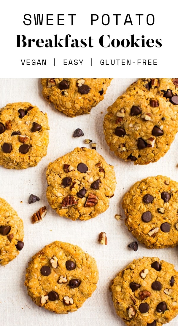 Sweet Potato Breakfast Cookies Eating Bird Food