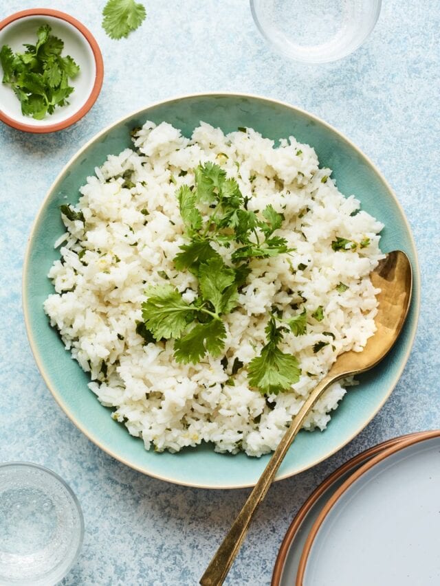 Easy Cilantro Rice Eating Bird Food